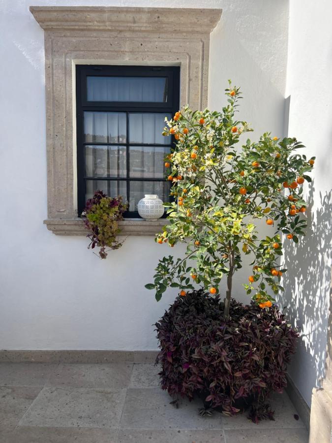 Casa Lani Luxury B&B San Miguel de Allende Exterior photo